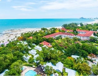 A year of ups and downs ends in stability for most lines of coverage in 2024